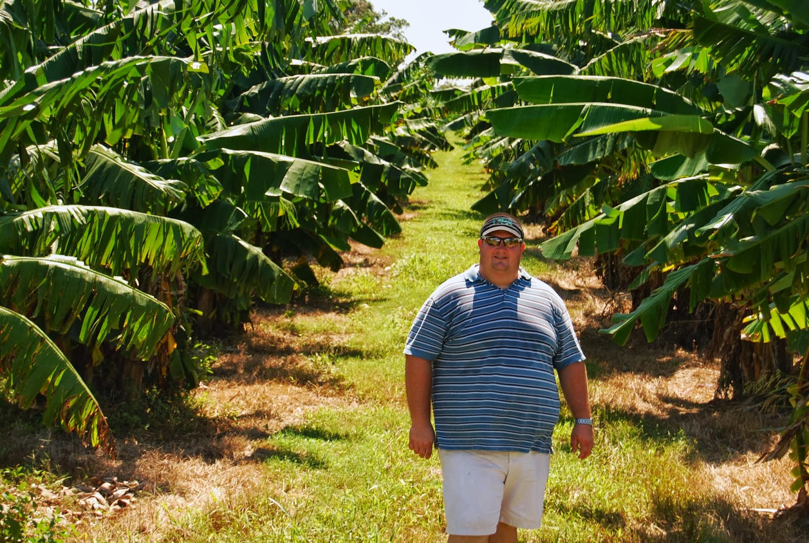 Helen A. Lockey NK Lago Farms, Pahokee, Fla Plantains & More