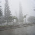 Neblina en el Barrio La Plazuela de Ituango