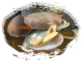 almejas+3.JPG