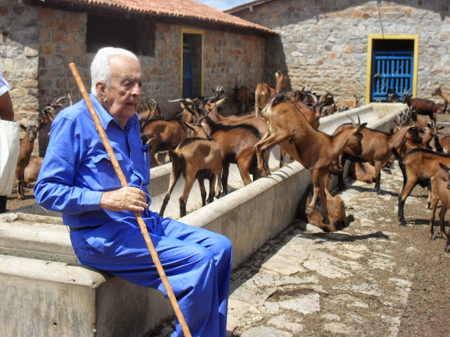 Resultado de imagem para Fazenda Carnaúba