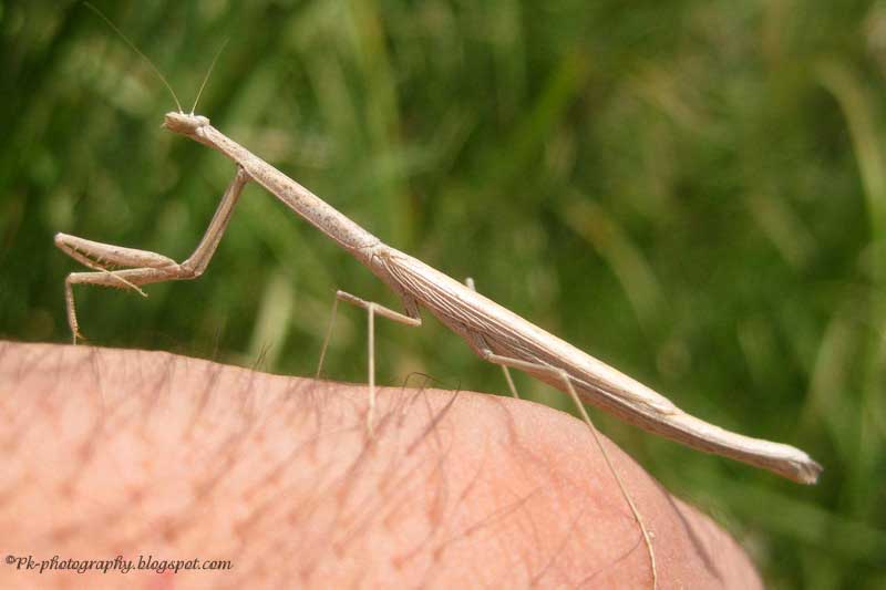 Nature, Cultural, and Travel Photography Blog 8/1/13 9/1/13