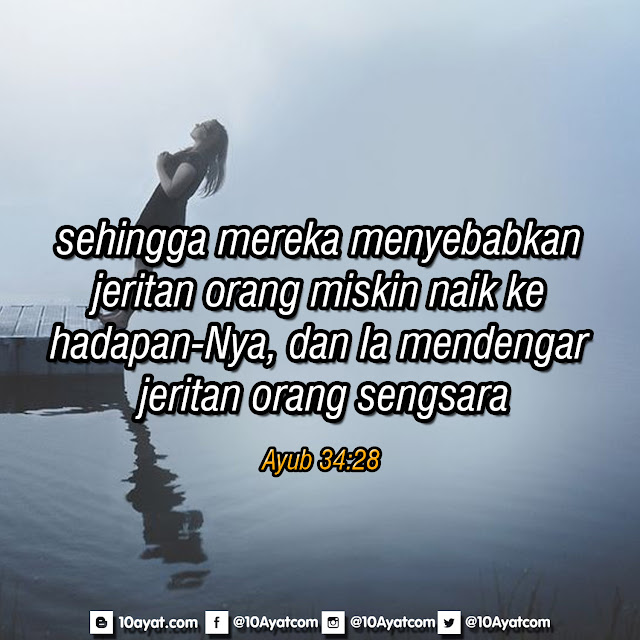 Ayub%2B34 28