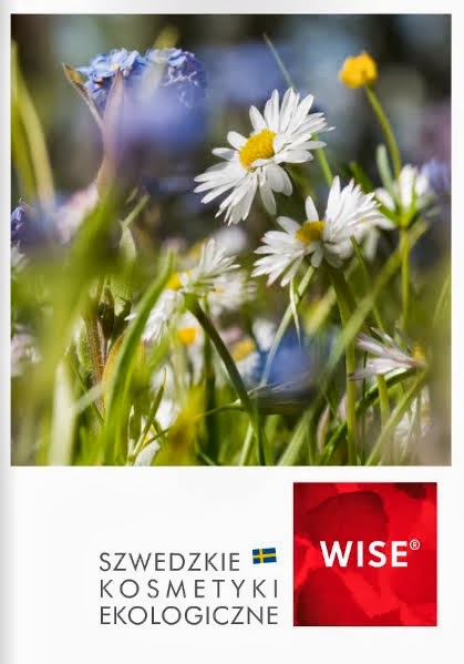 Katalog WISE