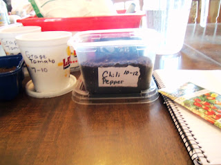 Keep Your Fast Food Cups For Next Time Keep Your Fast Food Cups For Next Time