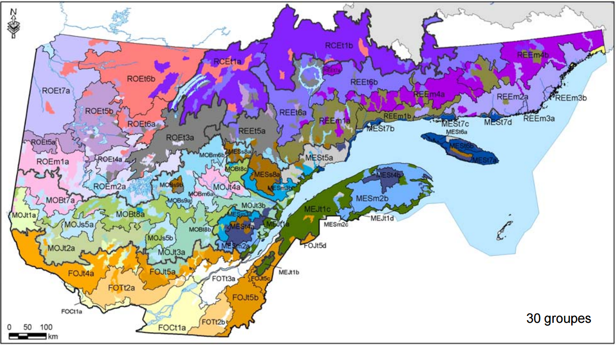 Ecological classification of the forest of Quebec 