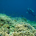 6th Para el MAR in Iloilo to award PH's most outstanding marine reserves