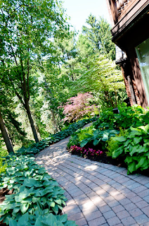 Hosta border shady garden path