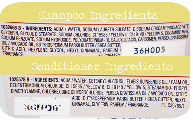 Slikke Vie Slægtsforskning Yolanda G: ♥ Garnier Respons Shampoo Avocado Oil & Shea Butter Review