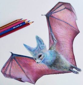 01-Fox-Bat-Joshua-Dansby-Fantasy-Animal-Combination-Drawings-www-designstack-co