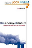 The Enemy of Nature: The End of Capitalism or the End of the World?