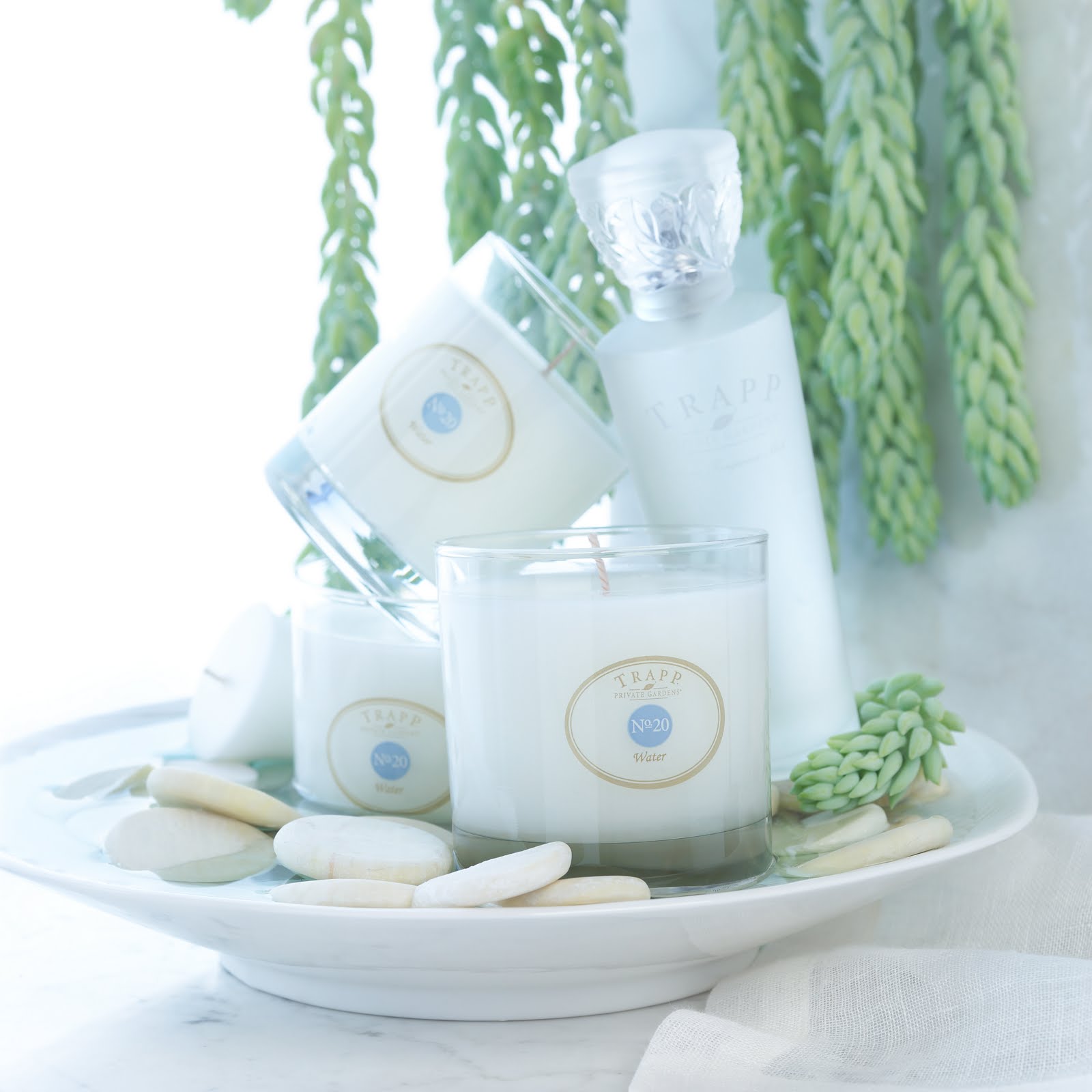 Tienda de Regalos Trapp Candles