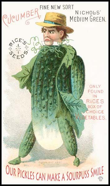 pickle11.jpg