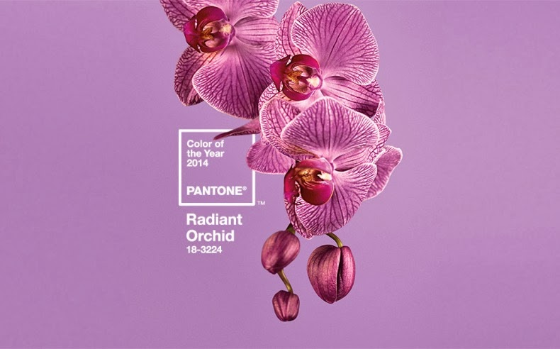 Radiant Orchid color of the year