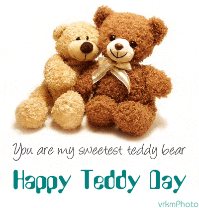 Happy Teddy Day SMS 2016 Happy Teddy Day SMS 2016