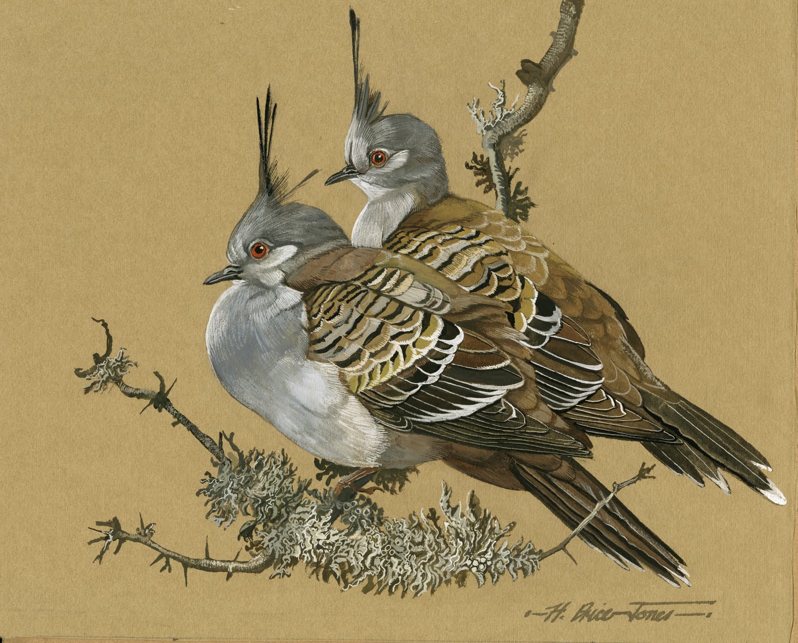 Humphrey PriceJones Limited Edition Prints