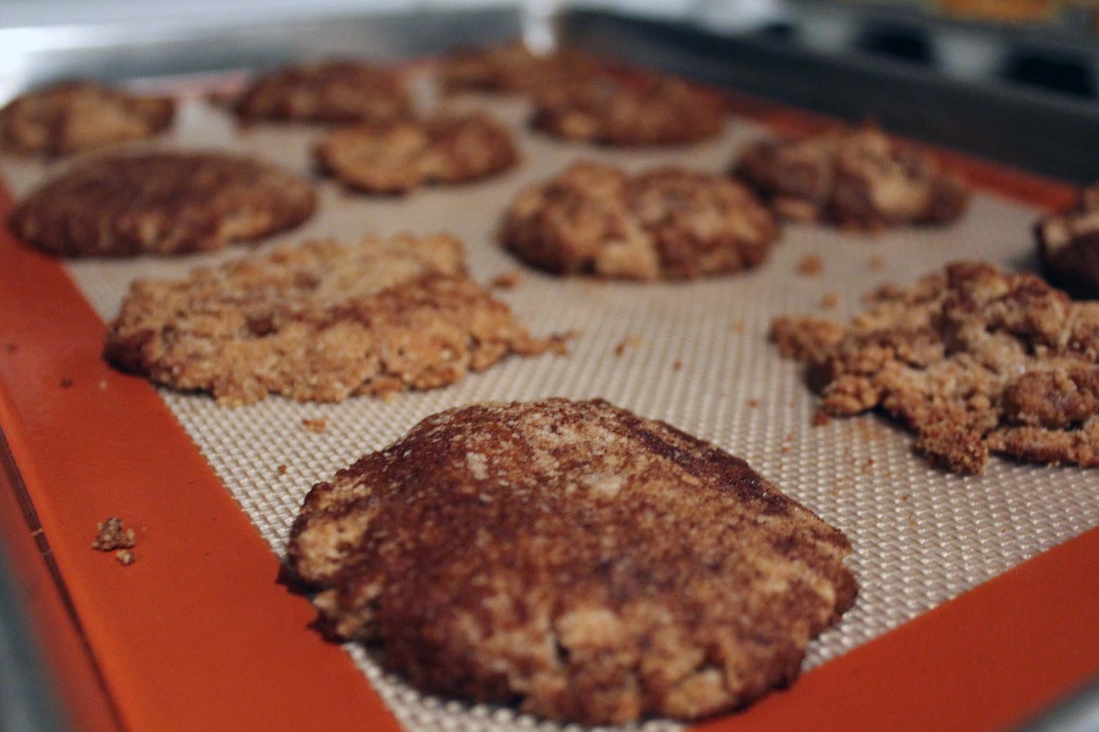 Healthy Life Paleo Snickerdoodle Cookies