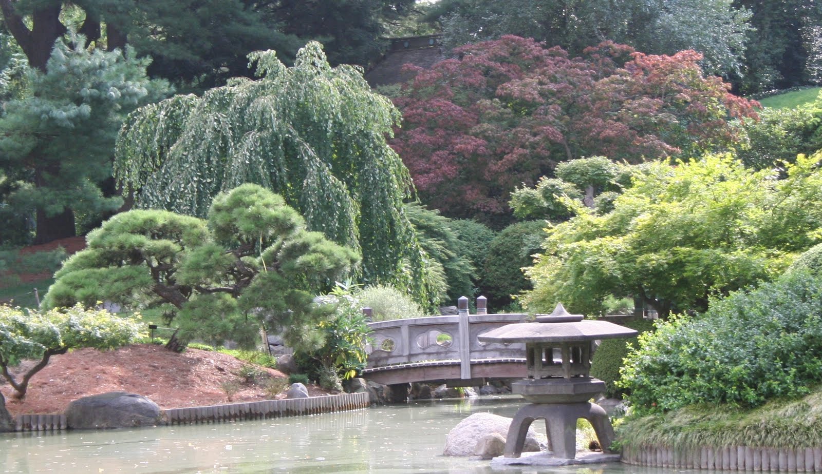 Our Garden Journal: Musings: Japanese Garden.... or Not