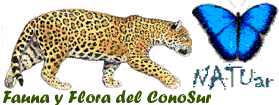 NATUar - Zoologia y Botanica del ConoSur.