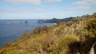 Intercâmbio Nova Zelândia - A exótica praia de Cathedral Cove em Coromandel