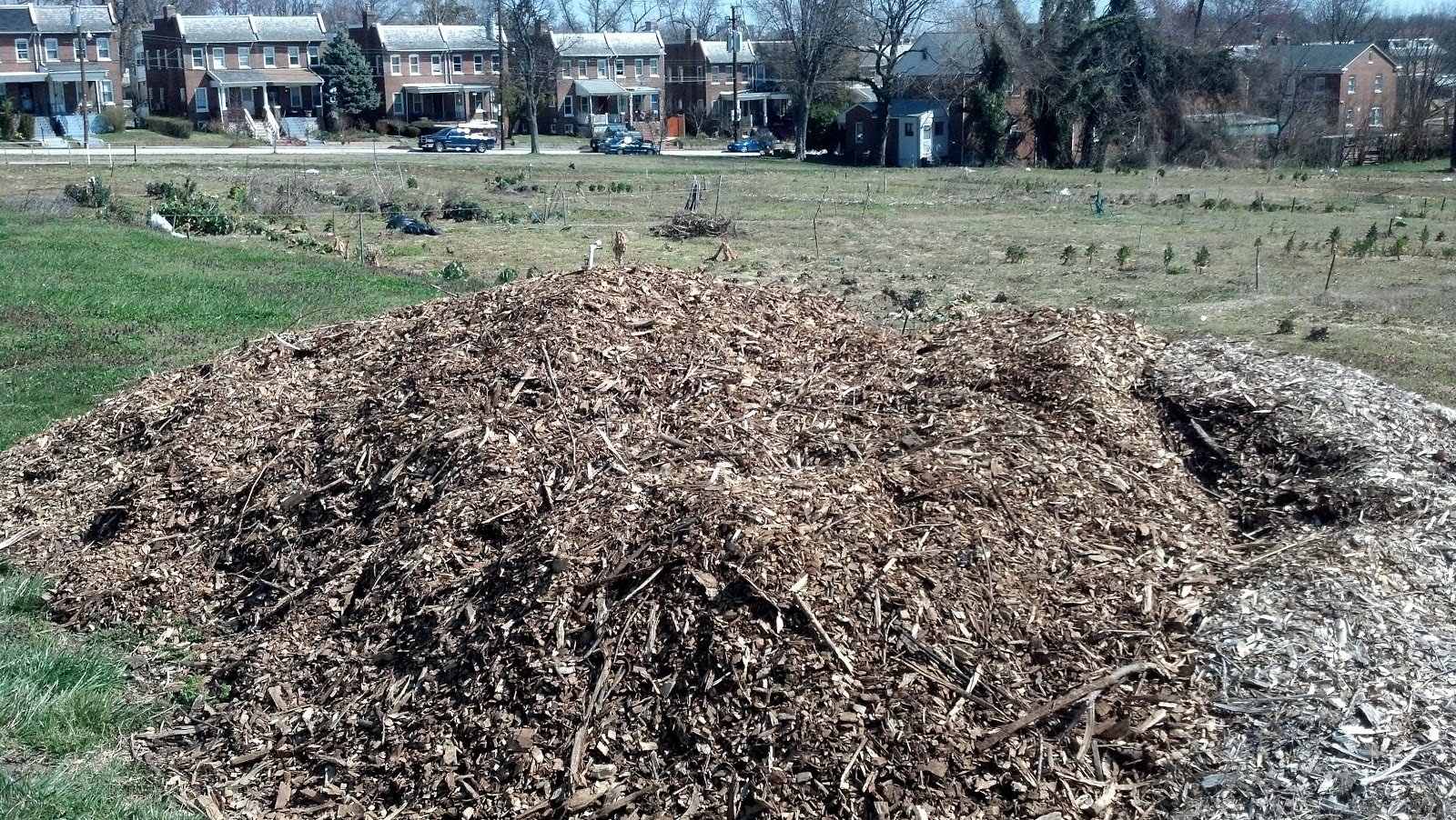 Peabody Street Observer Mulch pile turning heads