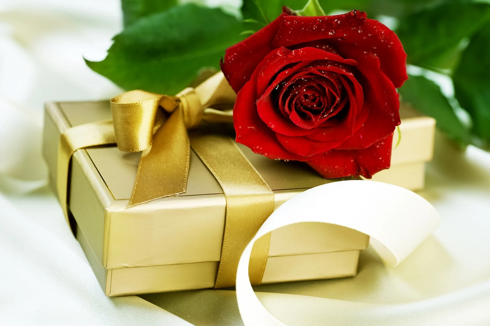 Amazing Types Of Gift Flowers Photo Concept Amazing Types Of Gift Flowers Photo Concept
