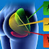 Exercises To Restore And Strengthen Gluteal Muscles