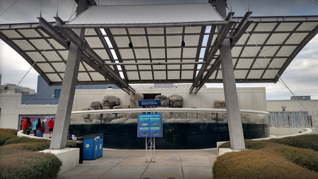 Virginia Beach Wedding Venues Virginia Beach Aquarium Virginia Beach Wedding Venues Virginia Beach Aquarium