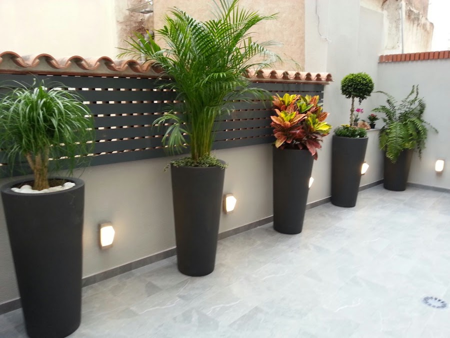 El patio de mi casa | Decoración