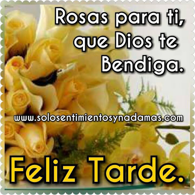 Feliz tarde.