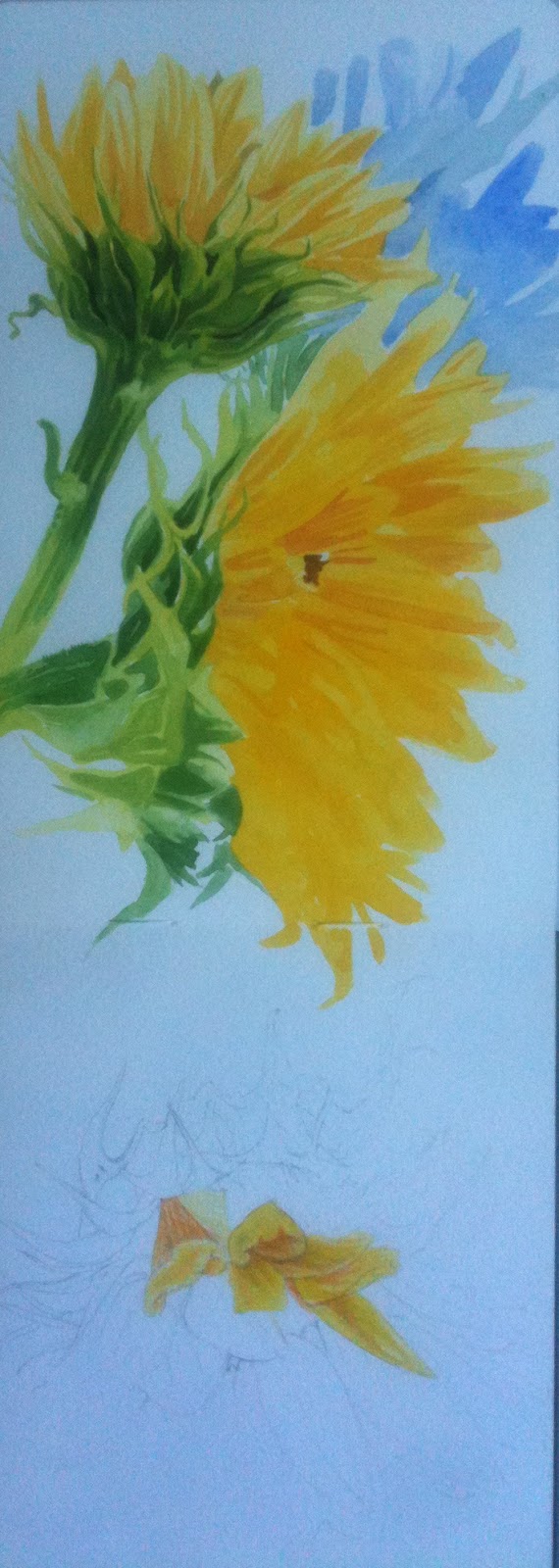 Julie Douglas, Notes from The Atelier Pages from my sketch book (water