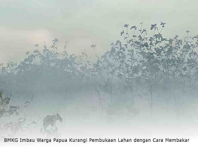 BMKG Imbau Warga Papua Kurangi Pembukaan Lahan dengan Cara Membakar BMKG Imbau Warga Papua Kurangi Pembukaan Lahan dengan Cara Membakar