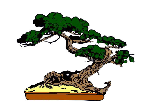 bonsai tree clipart - photo #3