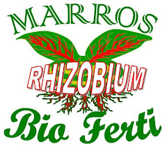 MARROS Bio-Ferti RHIZOBIUM