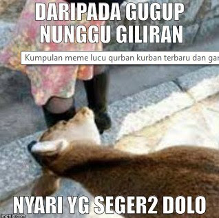 Kumpulan Meme dan Gambar Kocak Hewan Qurban yang Mengundang Tawa Terbaru 2018 Kumpulan Meme dan Gambar Kocak Hewan Qurban yang Mengundang Tawa Terbaru 2018