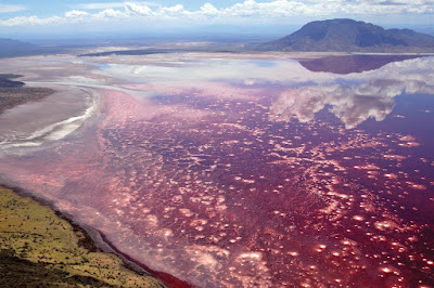 Lake, Natron, Tanzania Lake, Natron, Tanzania