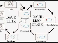 Reproduksi Virus, Biologi SMA Kelas X Reproduksi Virus, Biologi SMA Kelas X