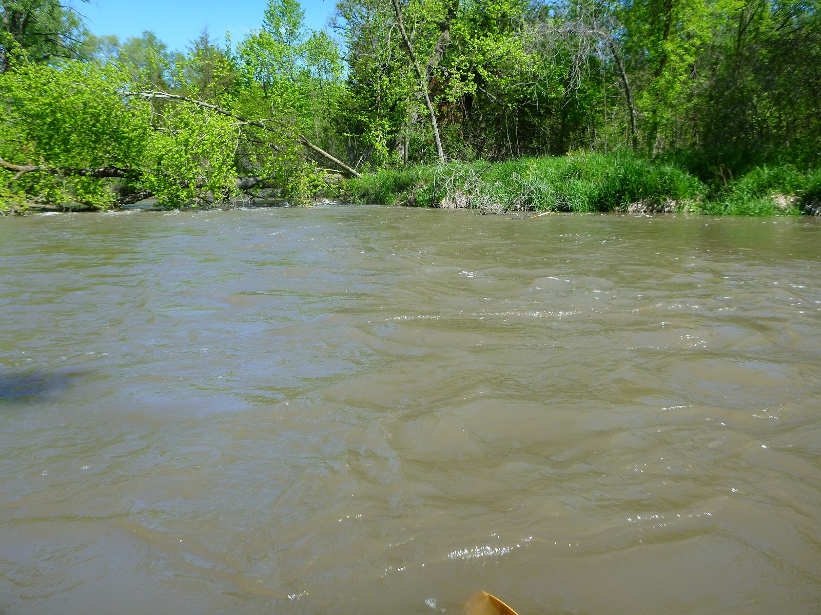 " FULL ON " High Island Creek, Rush River