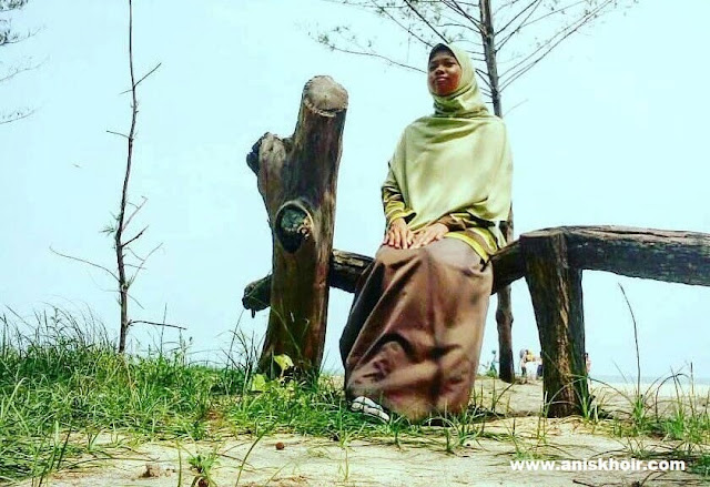 Anis Khoir Anis Khoir