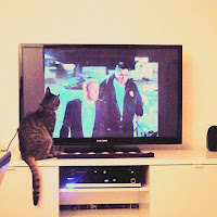 Mogu aime regarder la télé Mogu aime regarder la télé