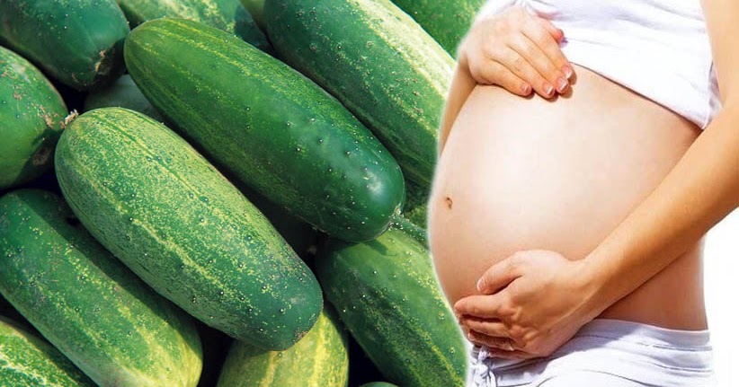 Whether Or Not To Eat Cucumber In Pregnancy It Is Safe To Eat Cucumber