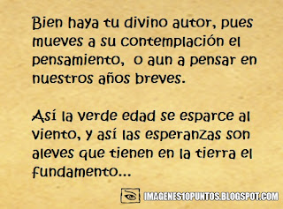 poemas de una flor poemas de una flor