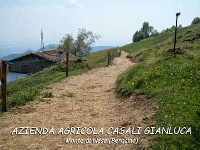 spiazzi a monte di nese azienda agricola casali gianluca