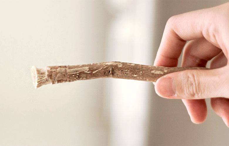 Misvak nedir ne demektir? Kısaca Anlamı Laf Sözlük