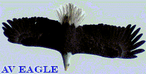 Download AV Eagle 3