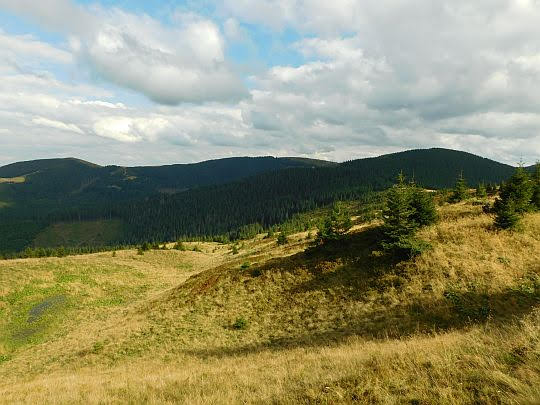Połonina na Pohrebtynie.