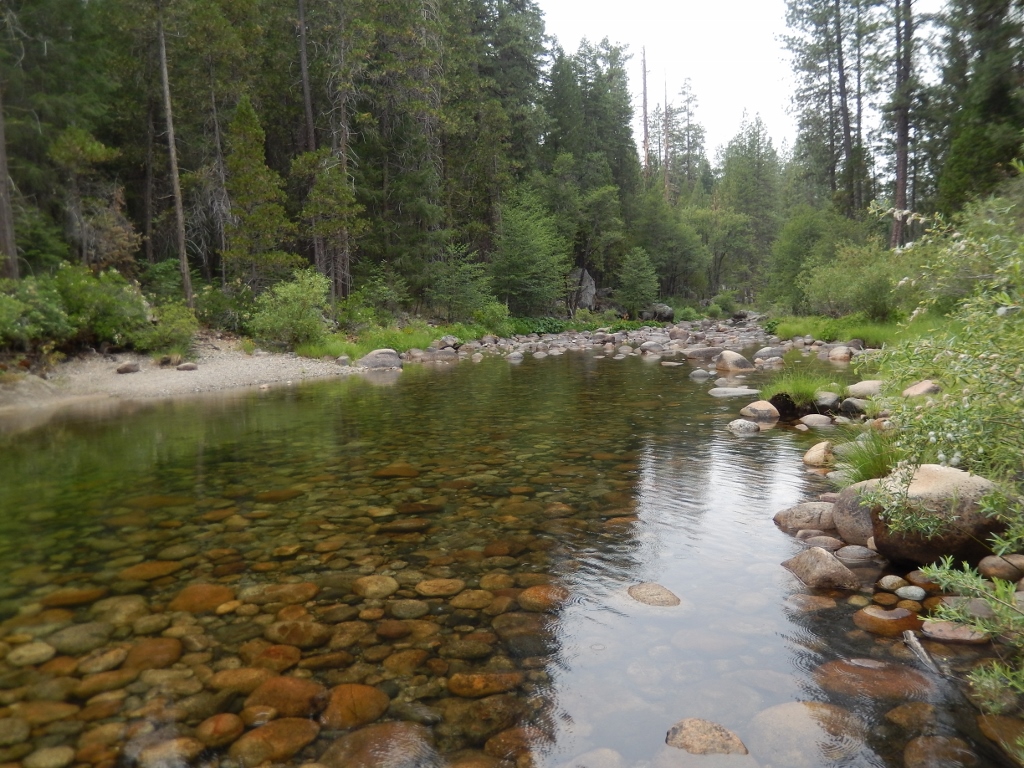 Mreced River Yosemite Mariposa Grove Pique Nique