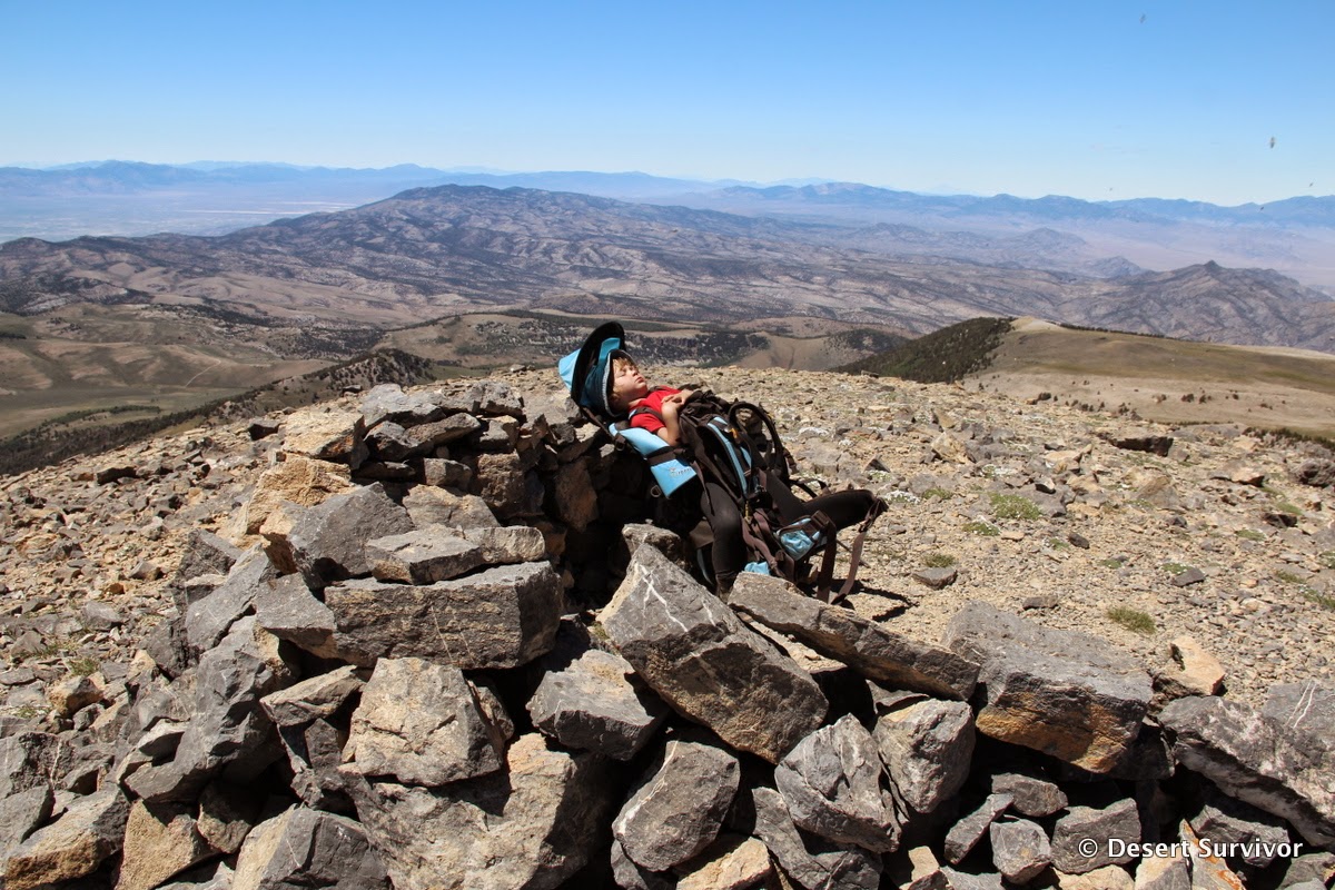 Desert Survivor Hiking up Mount Moriah in the North Snake Range, Nevada