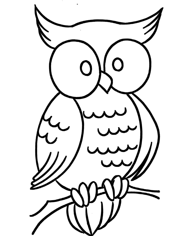 a owl coloring pages - photo #9
