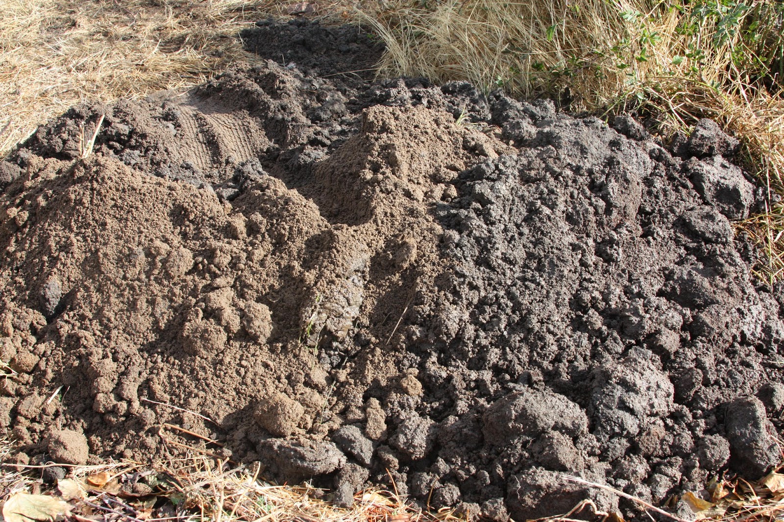 Una suerte de tierra: Limpieza de un manantial 2, el retorno