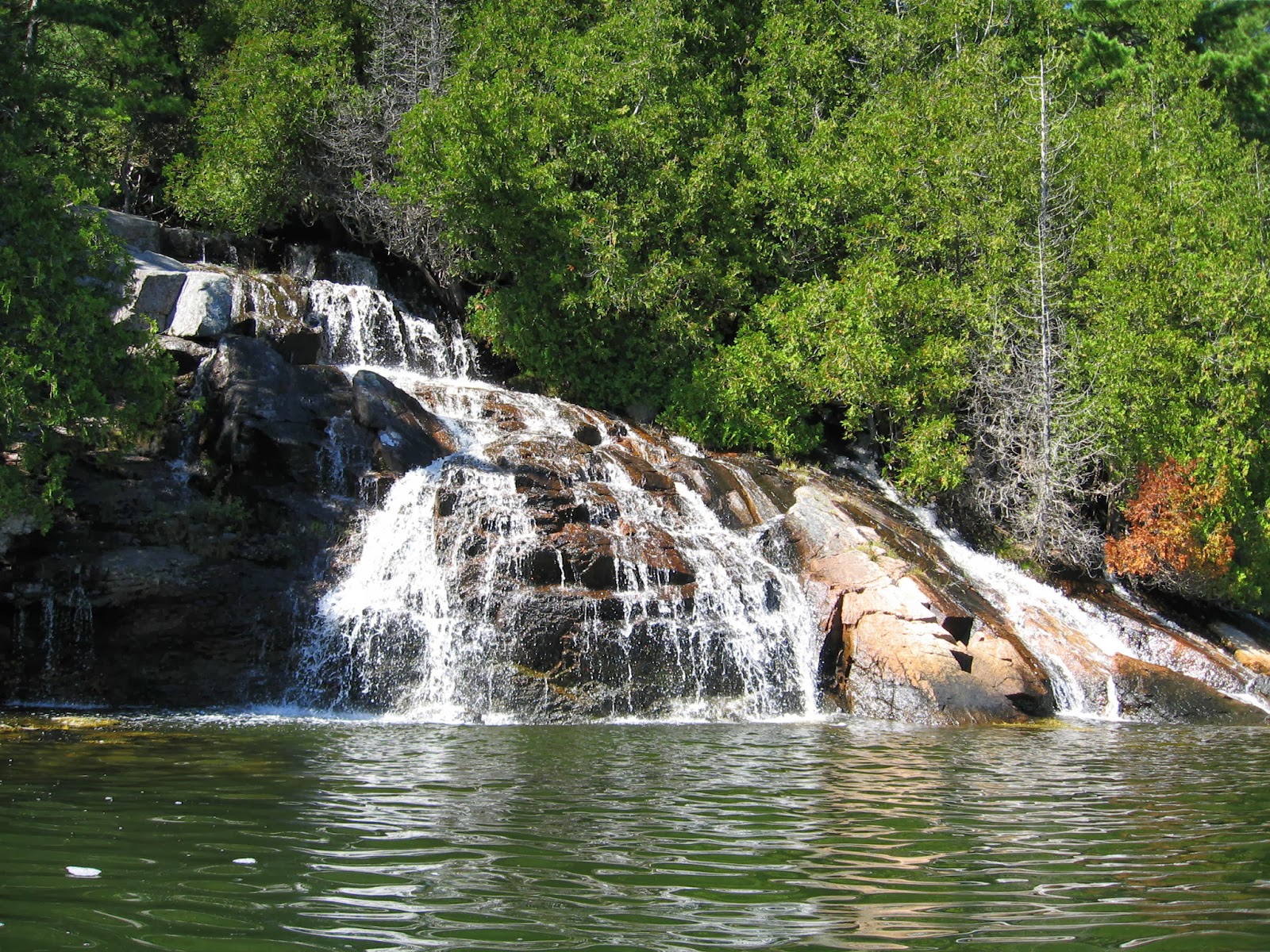 Birding-Kayaking-Babbling: Kayaking Somes Sound & Frenchman Bay Maine